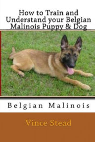 How to Train and Understand Your Belgian Malinois Puppy & Dog Vince Stead Author