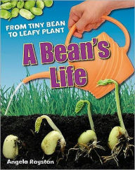 Bean's Life - Angela Royston
