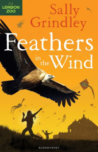 Feathers in the Wind Sally Grindley Author