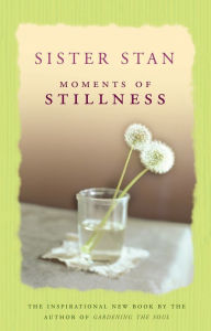 Moments of Stillness Stanislaus Kennedy Author