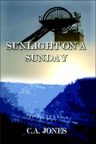 SUNLIGHT ON A SUNDAY Allan Jones Author