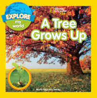 A Tree Grows Up (Explore My World Series) Marfe Ferguson Delano Author