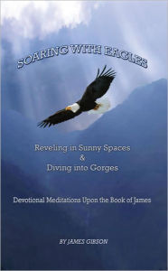 Soaring with Eagles: Reveling in Sunny Spaces and Diving into Gorges Devotional Meditations Upon the Book of James James Gibson Author