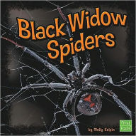 Black Widow Spiders Molly Kolpin Author