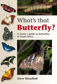 What's that Butterfly?: A starter's guide to butterflies of South Africa Steve Woodhall Author