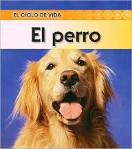 El perro (Dog) Angela Royston Author