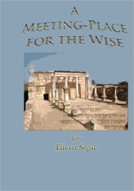 A Meeting-Place for the Wise: More Excursions into the Jewish Past and Present - Eliezer Segal