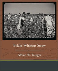 Bricks Without Straw Albion Winegar Tourgee Author