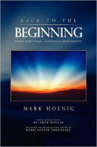 Back To The Beginning - Mark Hoenig