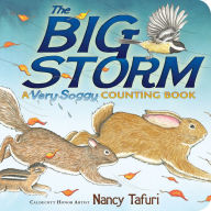 The Big Storm: A Very Soggy Counting Book Nancy Tafuri Author