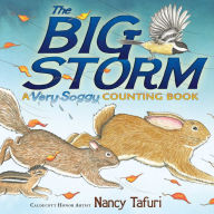 The Big Storm: A Very Soggy Counting Book (with audio recording) Nancy Tafuri Author