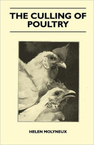 The Culling Of Poultry - Helen Molyneux