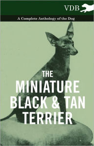 The Miniature Black and Tan Terrier - A Complete Anthology of the Dog Various Author