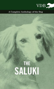 The Saluki - A Complete Anthology of the Dog Various Author