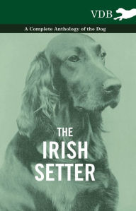 The Irish Setter - A Complete Anthology of the Dog Various Author