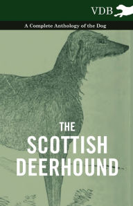 The Scottish Deerhound - A Complete Anthology of the Dog Various Author