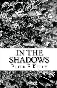 In the shadows: darkness to light Peter F Kelly Author