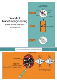 World of Nanobioengineering: Potential Big Ideas for the Future - Amin Elsersawi, Ph.D