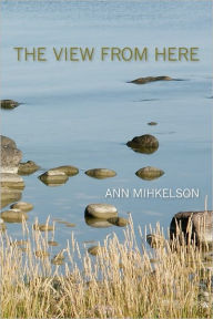 The View from Here Ann Mihkelson Author