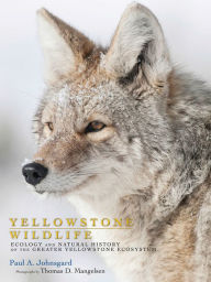 Yellowstone Wildlife: Ecology and Natural History of the Greater Yellowstone Ecosystem - Paul A. Johnsgard