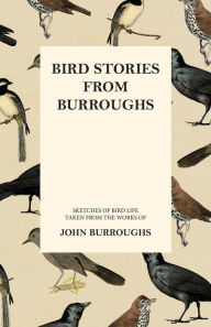 Bird Stories from Burroughs - Sketches of Bird Life Taken from the Works of John Burroughs John Burroughs Author