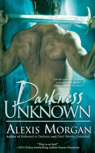 Darkness Unknown (Paladin Series #5) - Alexis Morgan