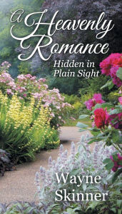A Heavenly Romance: Hidden in Plain Sight Wayne Skinner Author
