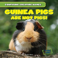 Guinea Pigs Are Not Pigs! - Evelyn Ryan