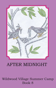 After Midnight - Joann Ellen Sisco