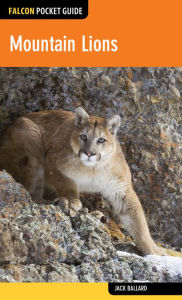 Mountain Lions Jack Ballard Author