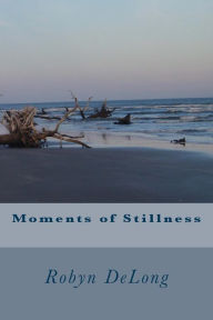 Moments of Stillness - Robyn DeLong