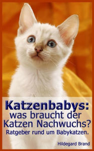 Katzenbabys: was braucht der Katzen Nachwuchs?: Ratgeber rund um Babykatzen. Hildegard Brand Author