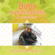Baby Hummingbirds: A True Story Mary Haring Purvis Author