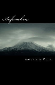 Aufwachen Antonietta Opitz Author