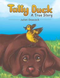 Tatty Duck Juliet Deacock Author