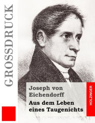 Aus dem Leben eines Taugenichts (Großdruck) Joseph von Eichendorff Author