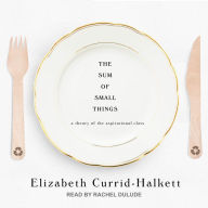The Sum of Small Things: A Theory of the Aspirational Class - Elizabeth Currid-Halkett