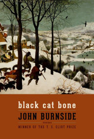Black Cat Bone: Poems - John Burnside