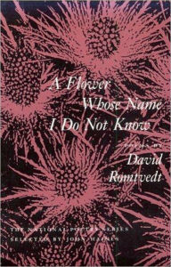 A Flower Whose Name I Do Not Know David Romtvedt Author