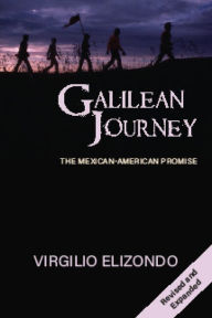 Galilean Journey: The Mexican-American Promise Virgil Elizondo Author