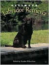 Ultimate Labrador Retriever