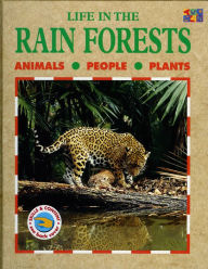 Life in the Rainforests - Lucy Baker