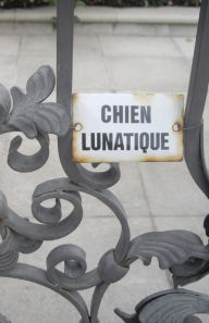 Chien Lunatique: Poems Christopher Bernard Author