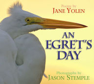 An Egret's Day Jane Yolen Author
