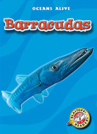 Barracudas Colleen Sexton Author