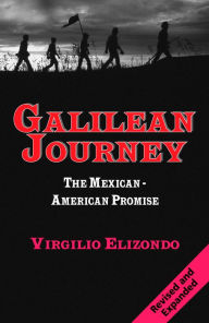 Galilean Journey: The Mexican-American Promise Virgilio Elizondo Author