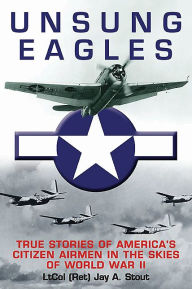 Unsung Eagles: True Stories of America's Citizen Airmen in the Skies of World War II Jay Stout Author