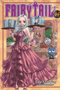 Fairy Tail, Volume 14 Hiro Mashima Author