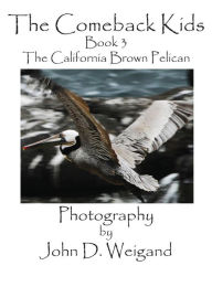 The Comeback Kids, Book 3, the California Brown Pelican John D. Weigand Photographer