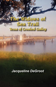 The Widows Of Sea Trail-Tessa Of Crooked Gulley Jacqueline Degroot Author